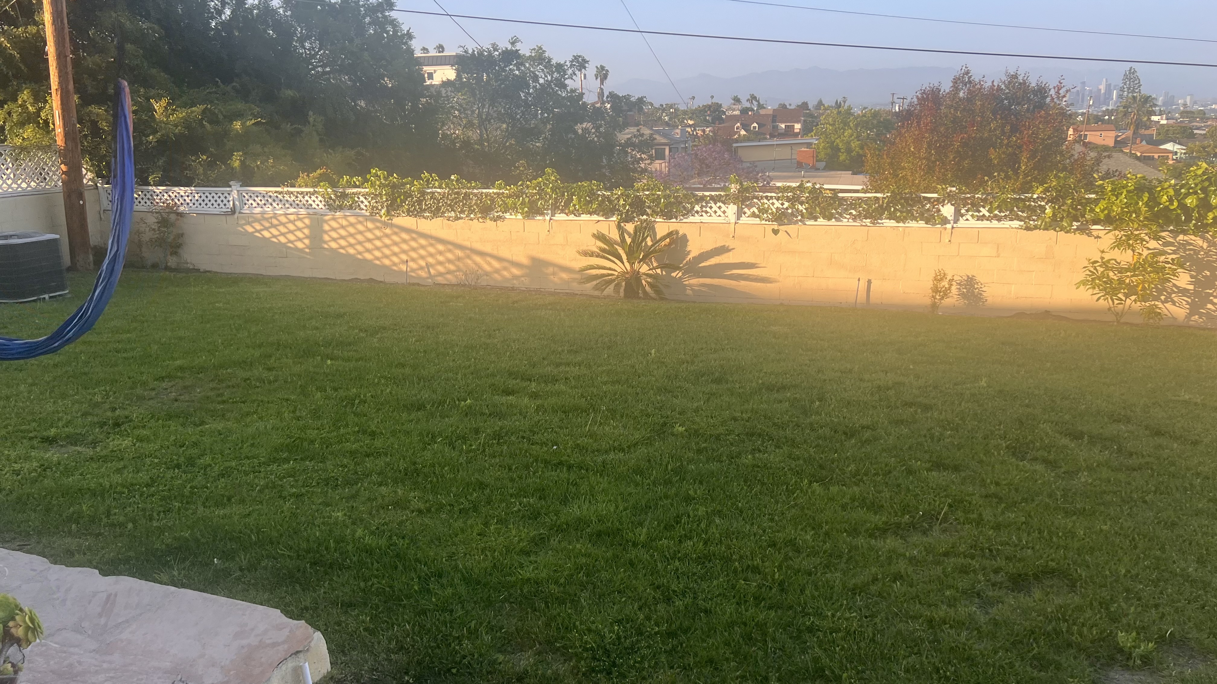 20250617-214842081-8dad-917940b45b29_Overdale Backyard.jpg